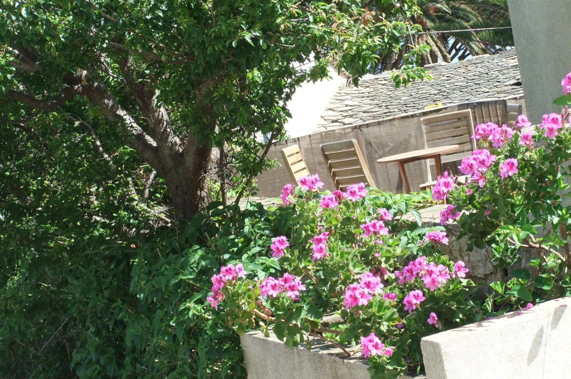 Hotel U Pozzu Sisco Dış mekan fotoğraf